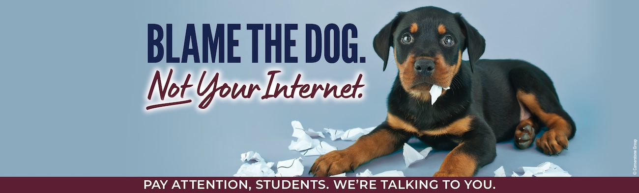 Blame the dog, not the internet